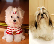 ペット用アクセサリー ヘアアクセ ヘアクリップ 犬用 猫用 小動物 ヘアピン ラインストーン フラワー かわいい ミニサイズ キュート おしゃれ ペット用品 ペットグッズ わんちゃん ねこちゃん