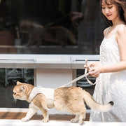 猫用 ハーネス リード 2点セット キャットウェア ペット用 ペット用品 北欧風 ナチュラル シンプル おしゃれ ペットグッズ 猫用品 マジック テープ 着脱簡単 通気性 絡みにくい 散歩 おでかけ 可愛い ネコ ねこ アースカラー くすみカラー ロゴ 英字