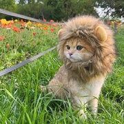 ペット用コスプレ衣装 ペット用衣装 ペット用帽子 ペット用フード 小型犬 イヌ 猫 ネコ ペットグッズ ペット用品 あご紐 たてがみ ライオン パンダ ウサギ 動物 アニマル かわいい ブラウン ホワイト キュート かわいい ポップ カジュアル 仮装