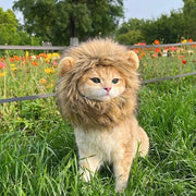 ペット用コスプレ衣装 ペット用衣装 ペット用帽子 ペット用フード 小型犬 イヌ 猫 ネコ ペットグッズ ペット用品 あご紐 たてがみ ライオン パンダ ウサギ 動物 アニマル かわいい ブラウン ホワイト キュート かわいい ポップ カジュアル 仮装