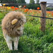 ペット用コスプレ衣装 ペット用衣装 ペット用帽子 ペット用フード 小型犬 イヌ 猫 ネコ ペットグッズ ペット用品 あご紐 たてがみ ライオン パンダ ウサギ 動物 アニマル かわいい ブラウン ホワイト キュート かわいい ポップ カジュアル 仮装