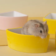 小動物用食器 エサ入れ 水入れ 餌皿 エサ皿 餌やり フードボウル ウォーターボウル セラミック製 置き型 ハムスター チンチラ リス ペット用品