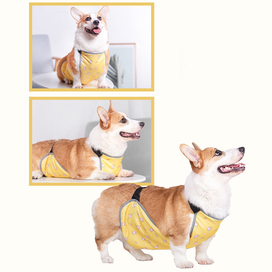 犬用泥よけエプロン レインウェア コーギー ペット服 犬服 ドッグウェア 商品画像5