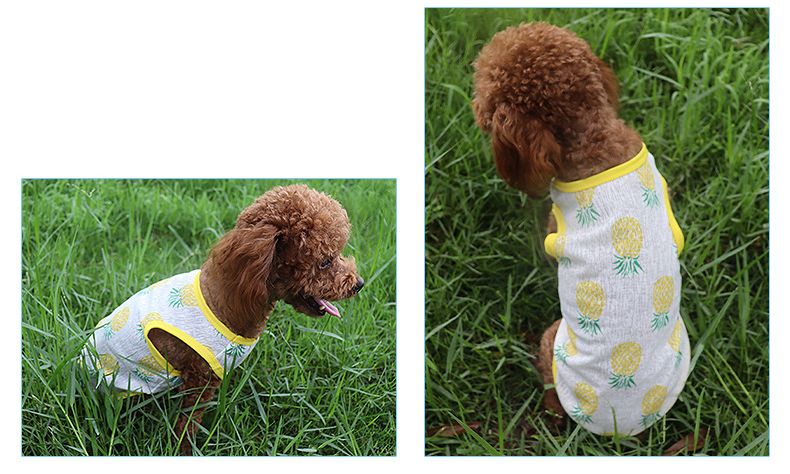 ペットウェア タンクトップ 犬服 猫服 袖なし ドッグウェア 商品画像3