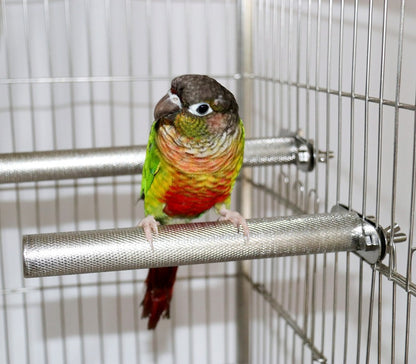鳥用止まり木 とまり木 単品 1個 ケージ用 円筒型 商品画像2