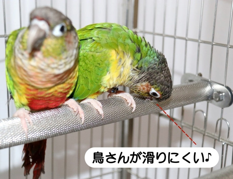 鳥用止まり木 とまり木 単品 1個 ケージ用 円筒型 商品画像3