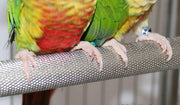鳥用止まり木 とまり木 単品 1個 ケージ用 円筒型 合金製 休憩 オウム インコ バードスタンド  ポール 鳥用品 ペット用品