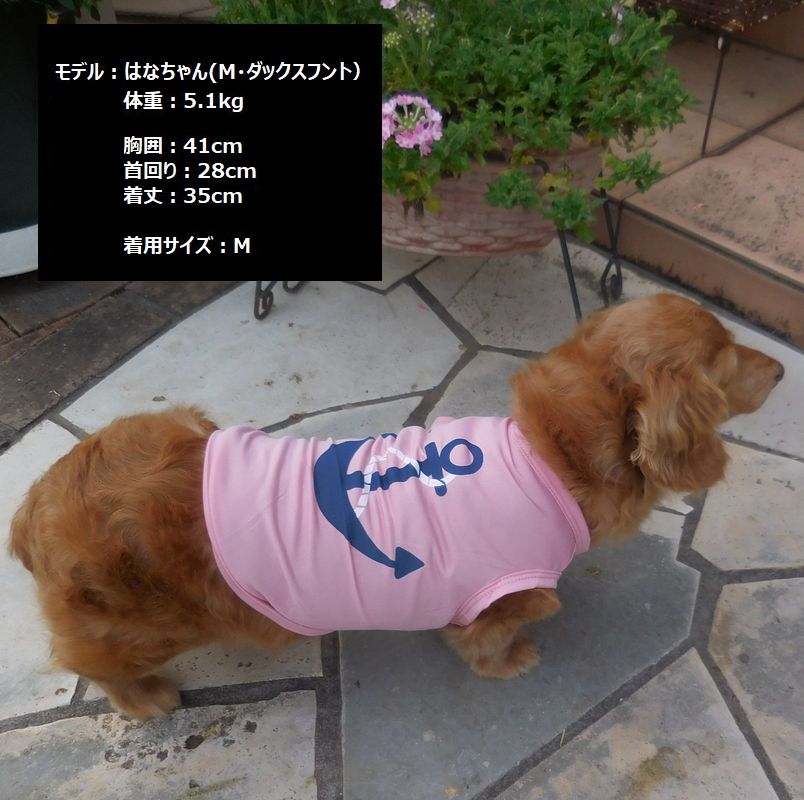 犬服 ドッグウェア ペットウェア Ｔシャツ 薄手 ノースリーブ 商品画像2