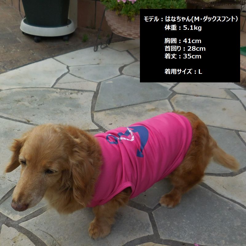 犬服 ドッグウェア ペットウェア Ｔシャツ 薄手 ノースリーブ 商品画像3