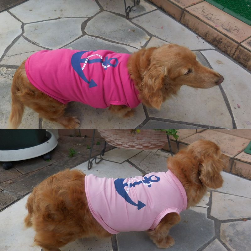 犬服 ドッグウェア ペットウェア Ｔシャツ 薄手 ノースリーブ 商品画像4