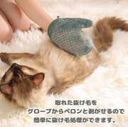 ペット用 グルーミンググローブ 猫 犬 ラバーブラシ 片手用 抜け毛取り ソファ 洋服 両面 手袋 抜け毛 むだ毛 毛取り メッシュ お手入れ ブラッシング ネコ イヌ ケア用品 ペットグッズ