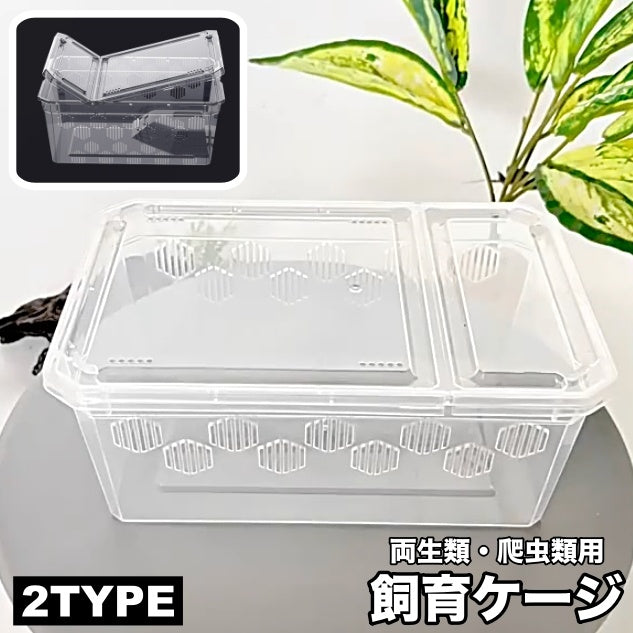 飼育ケージ 飼育ケース 両生類用 爬虫類用 クリアケース プラケース 透明 カメ 亀 カエル 水槽 テラス 陸地 長方形 シンプル 通気口 ペット用品