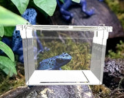 飼育ケージ 飼育ケース 両生類用 爬虫類用 クリアケース プラケース 透明 カメ 亀 カエル 水槽 テラス 陸地 長方形 シンプル 通気口 ペット用品