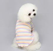 ドッグウェア カットソー リブ ニット ハイネック 袖あり メロウ フリル 犬服 ペットウェア ペット用品 小型犬 中型犬 ボーダー柄 レインボー かわいい おしゃれ お出かけ お散歩 いぬ イヌ