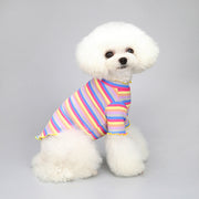 ドッグウェア カットソー リブ ニット ハイネック 袖あり メロウ フリル 犬服 ペットウェア ペット用品 小型犬 中型犬 ボーダー柄 レインボー かわいい おしゃれ お出かけ お散歩 いぬ イヌ