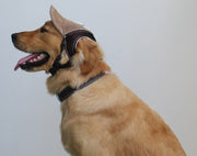 帽子 犬 キャップ ペット 中型犬 大型犬 犬用 イヌ つば付き メッシュ 通気性 紫外線対策 ベースボールキャップ 犬服 ペット服 被り物 犬の帽子 夏物 夏 日除け バックル 簡単着脱 耳穴あり コーデュロイ ロゴ カジュアル お洒落 かわいい 散歩 お出かけ 旅行 ペット用品 ペットグッズ