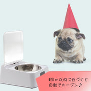 自動給餌器 ペットボウル ペット用食器 イヌ 犬 猫 ネコ ペット用品 ペットグッズ 蓋つき センサー 自動開閉 充電式 スクエア 四角 土台付き 無地 ホワイト シンプル リチウム