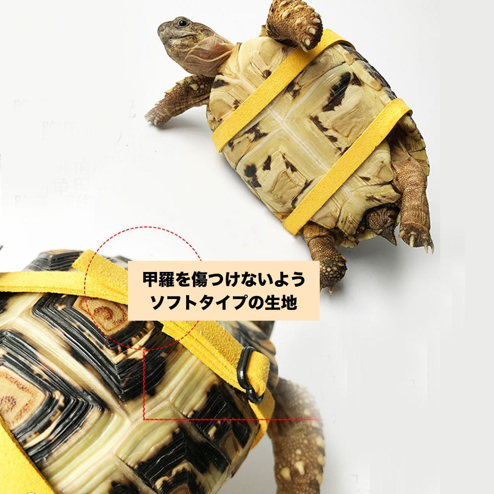 亀用ハーネス リード 2点セット ペット用品 リーシュ 牽引ロープ 商品画像3