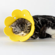 エリザベスカラー ソフト 猫用 犬 ペット用品 スナップボタン 傷舐め防止 傷口保護 術後 ケア用品 引っ掻き防止 簡単装着 フラワーデザイン 小型犬 柔らかい 花型 ソリッドカラー 可愛い おしゃれ ネコ用 イヌ ねこ いぬ エリカラ