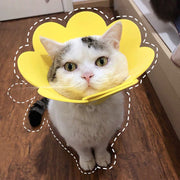 エリザベスカラー ソフト 猫用 犬 ペット用品 スナップボタン 傷舐め防止 傷口保護 術後 ケア用品 引っ掻き防止 簡単装着 フラワーデザイン 小型犬 柔らかい 花型 ソリッドカラー 可愛い おしゃれ ネコ用 イヌ ねこ いぬ エリカラ