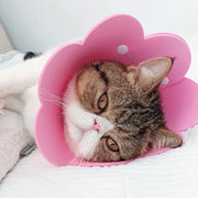 エリザベスカラー ソフト 猫用 犬 ペット用品 スナップボタン 傷舐め防止 傷口保護 術後 ケア用品 引っ掻き防止 簡単装着 フラワーデザイン 小型犬 柔らかい 花型 ソリッドカラー 可愛い おしゃれ ネコ用 イヌ ねこ いぬ エリカラ
