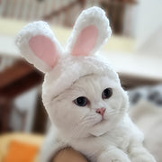 ペット用コスプレ帽子 猫用帽子 犬用帽子 かぶり物 ペット用品 ウサギ うさぎ うさ耳 コスプレ 仮装 イベントパーティー 写真撮影 ネコ イヌ かわいい
