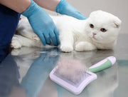 スリッカーブラシ 抜け毛 ムダ毛 毛玉取り 犬 猫 ペット用品 ブラッシング お手入れ グルーミング トリミング 被毛ケア 水洗い可 ピンク グリーン