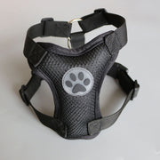 犬用シートベルト ハーネス ドライブグッズ ドライブ用品 イヌ 小型犬 ペット用品 ペットグッズ ワンちゃん 旅行 お出掛け 飛び出し防止 車用