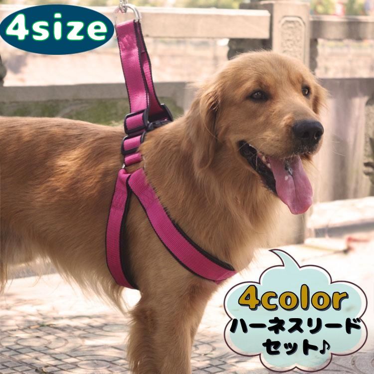 ハーネスリード 2点セット イヌ用 犬 ドッグ ペット用品 シンプル お散歩グッズ シンプル おしゃれ デイリー バックル 着脱簡単 小型犬 中型犬 大型犬 長さ調整可能 散歩紐 胴輪 ワンタッチ