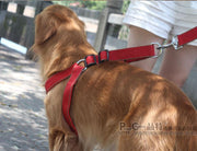 ハーネスリード 2点セット イヌ用 犬 ドッグ ペット用品 シンプル お散歩グッズ シンプル おしゃれ デイリー バックル 着脱簡単 小型犬 中型犬 大型犬 長さ調整可能 散歩紐 胴輪 ワンタッチ