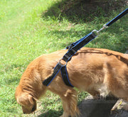 ハーネスリード 2点セット イヌ用 犬 ドッグ ペット用品 シンプル お散歩グッズ シンプル おしゃれ デイリー バックル 着脱簡単 小型犬 中型犬 大型犬 長さ調整可能 散歩紐 胴輪 ワンタッチ
