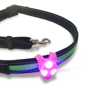 ペット用ライト お散歩ライト 犬用 猫用 ペットグッズ お出かけ お散歩グッズ LED 夜間ライト セーフティライト 散歩 首輪 ブルー グリーン ハーネス リード ウォーキング バッグ 自転車