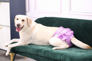 犬用サニタリーパンツ マナーパンツ 生理パンツ おむつカバー ペット用品 犬 ドッグウェア トイレ用品 フリル 便利 かわいい