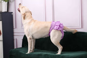 犬用サニタリーパンツ マナーパンツ 生理パンツ おむつカバー ペット用品 犬 ドッグウェア トイレ用品 フリル 便利 かわいい