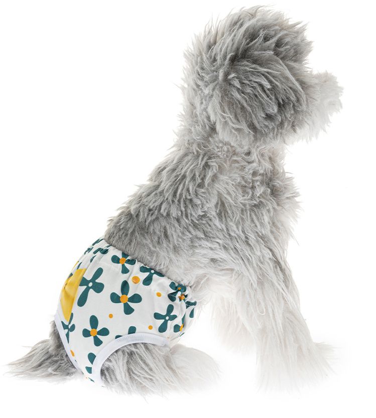 犬用サニタリーパンツ マナーパンツ 生理パンツ 犬用ウェア ドッグウェア しっぽ穴付き 商品画像4