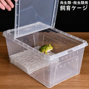 飼育ケース プラスチックケース プラケース 両生類 爬虫類 昆虫 小動物用 飼育容器 カエル トカゲ カメ 小型 給餌箱 隔離ボックス 透明 通気性 小型 浮島 両開き 蓋付き コンパクト クリア 飼育ケージ