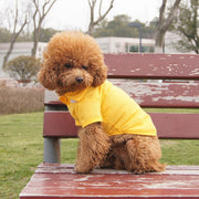 ドッグウェア ペットウェア ポロシャツ 犬の服 犬服 洋服 ペット用品 小型犬 トップス 袖付き 袖あり 襟付き 鹿の子 無地 シンプル お散歩 お出かけ おしゃれ かわいい いぬ 猫 ねこ