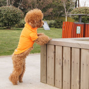 ドッグウェア ペットウェア ポロシャツ 犬の服 犬服 洋服 ペット用品 小型犬 トップス 袖付き 袖あり 襟付き 鹿の子 無地 シンプル お散歩 お出かけ おしゃれ かわいい いぬ 猫 ねこ