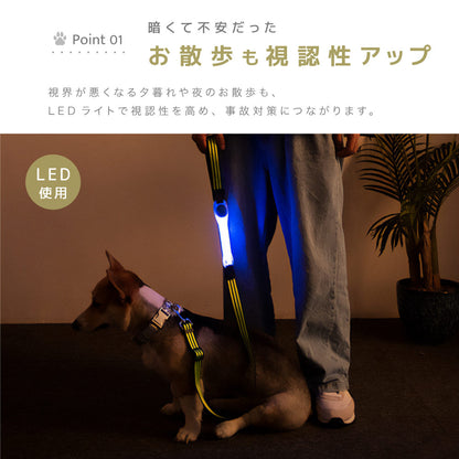 お散歩ライト LEDライト ペット用品 リード取り付け 犬 猫 商品画像4