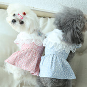 ドッグウェア ワンピース 犬服 猫服 洋服 ペット用品 小型犬 袖なし ノースリーブ プルオーバー レース ビッグカラー 小花柄 フラワー 肩フリル おしゃれ かわいい ガーリー キュート カジュアル デイリー お出かけ お散歩 イヌ いぬ ネコ ねこ キャットウェア