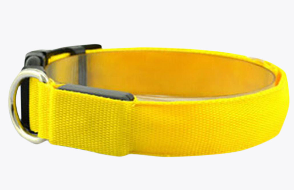 光る首輪 カラー 犬用首輪 LED ボタン電池式 ペットグッズ ペット用品 犬用 点滅 点灯 お散歩グッズ お出かけ 夜のお散歩 夜間用 雨の日 おしゃれ 目立つ 安全対策 いぬ 小型犬 中型犬 猫用