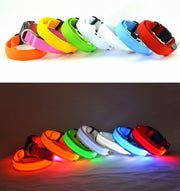 光る首輪 カラー 犬用首輪 LED ボタン電池式 ペットグッズ ペット用品 犬用 点滅 点灯 お散歩グッズ お出かけ 夜のお散歩 夜間用 雨の日 おしゃれ 目立つ 安全対策 いぬ 小型犬 中型犬 猫用