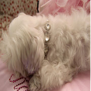 犬用ネックレス 犬用アクセサリー 首輪 犬用 小型犬 ネックレス アクセサリー フェイクパール ビジュー ラインストーン チェーン キラキラ 煌めく お出かけ お出掛け おめかし オシャレな首輪 お呼ばれ ショー 衣装 小物 可愛い かわいい 上品 豪華 オシャレ おしゃれ お洒落 華やか 犬 いぬ イヌ ドッグ ペット 愛犬 犬用品