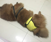 犬用 マナーパンツ サニタリーパンツ イヌ いぬ 小型 中型 大型 女の子 メス 生理用品 オムツ おむつ ナプキン 面ファスナー パンツ