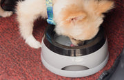 ペット用食器 ウォーターボウル 水入れ 犬用 猫用 給水器 750ml 滑り止め付き こぼれにくい ペット用品 水飲み 水やり 車内 お留守番 旅行 外出 お出掛け ペットグッズ イヌ用 ネコ用