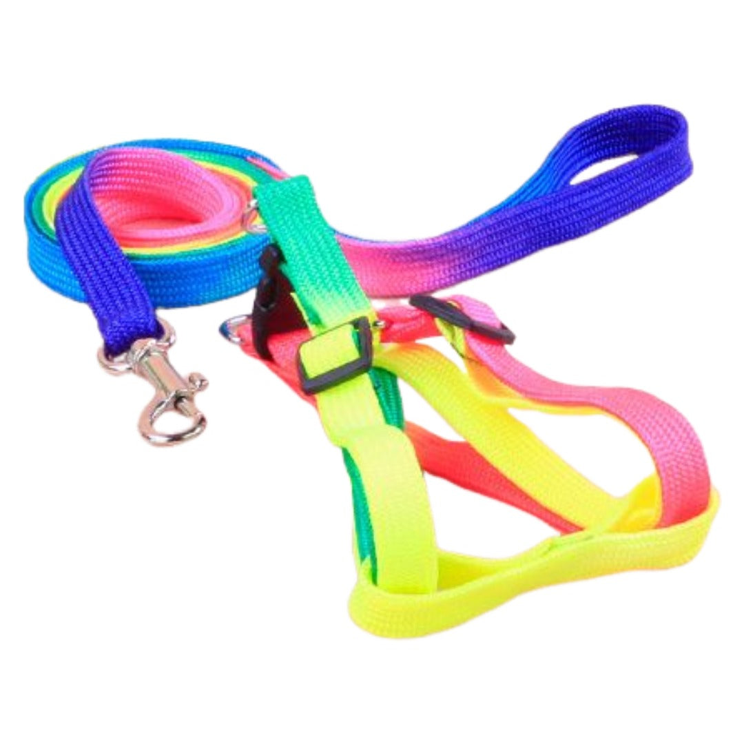 ハーネス リード 2点セット 犬 いぬ イヌ ペット用品 胴輪 レインボー カラフル 七彩 散歩 お出かけ 紐 ロープ 調節可能 かわいい おしゃれ