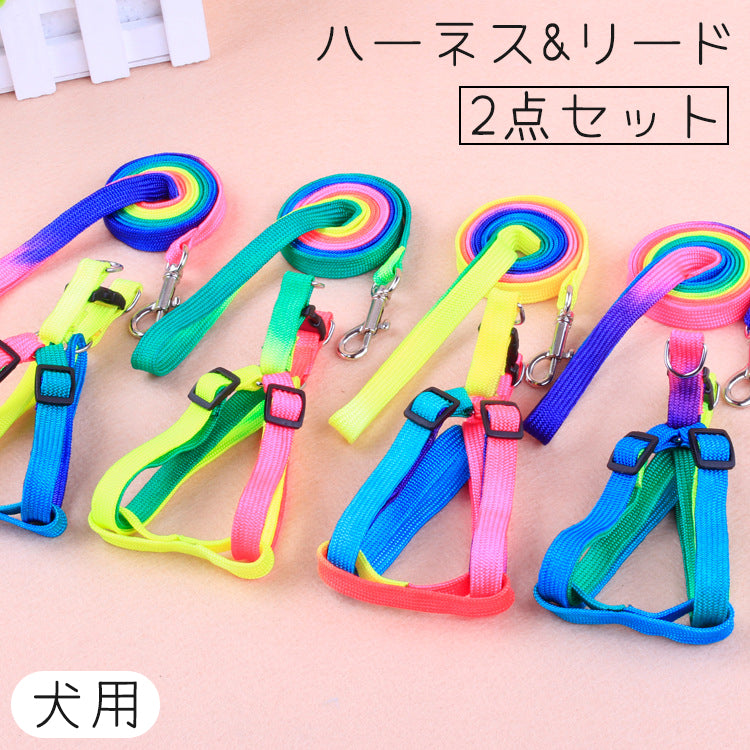 ハーネス リード 2点セット 犬 いぬ イヌ 商品画像