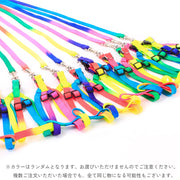 ハーネス リード 2点セット 犬 いぬ イヌ ペット用品 胴輪 レインボー カラフル 七彩 散歩 お出かけ 紐 ロープ 調節可能 かわいい おしゃれ