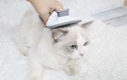 スリッカーブラシ ピンブラシ ペット用 猫用 犬用 ネコ イヌ ブラッシング 毛玉取り グルーミング 抜け毛取り お手入れ ケア用品 もつれ ワンタッチ 短毛 長毛 ペットグッズ