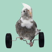 鳥用おもちゃ ペット インコ 小鳥 トリ 車輪 バイク 漕ぐ バランスカー 運動 遊び道具 一人遊び シンプル かわいい